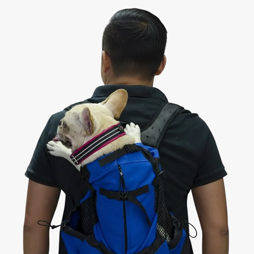 sac-dos-de-moto-pour-chien-bleu-dos