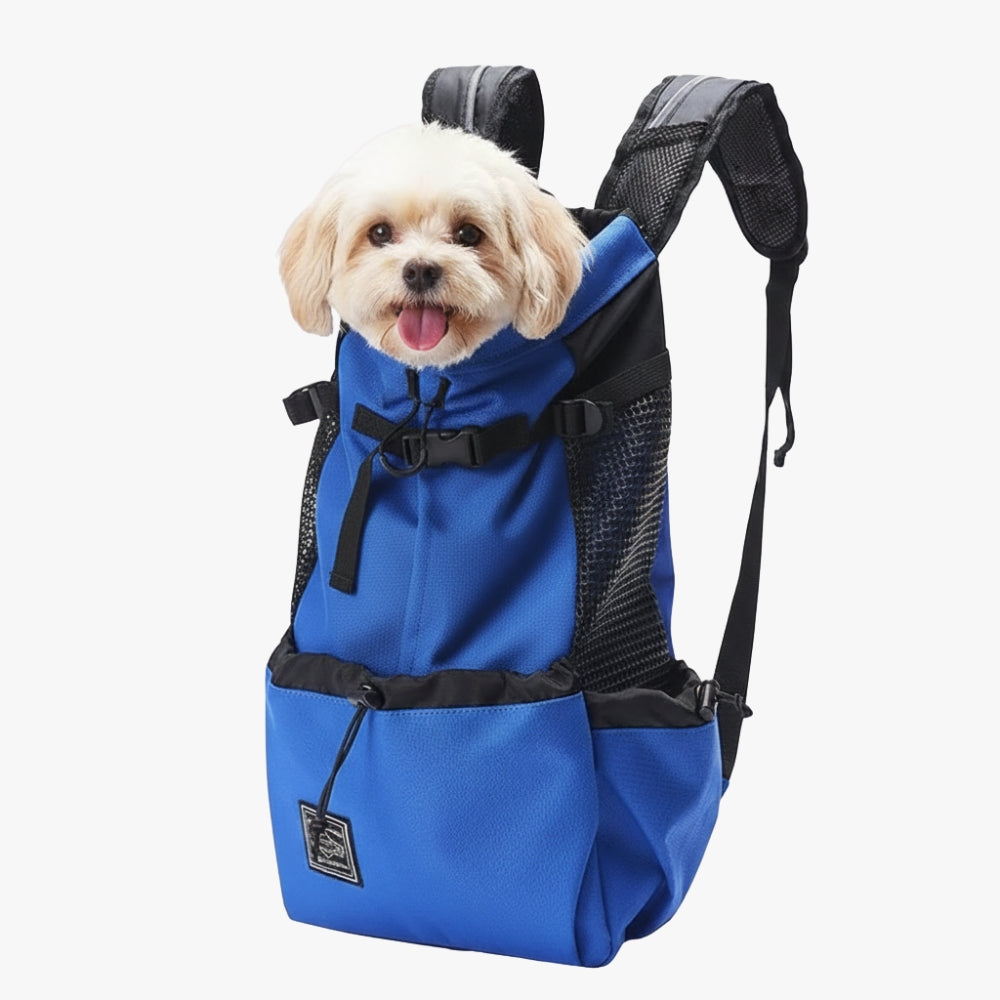 sac-dos-de-moto-pour-chien-bleu-sac