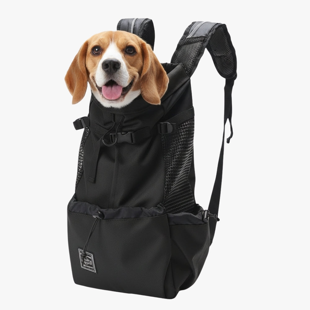 sac-dos-de-moto-pour-chien-noir-chien