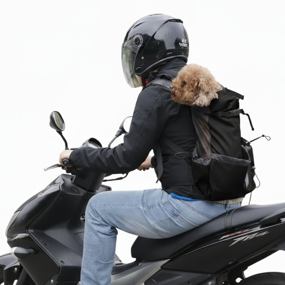sac-dos-de-moto-pour-chien-noir-cote