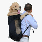 sac-dos-de-moto-pour-chien-noir-debout