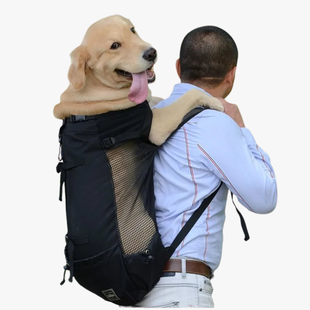 sac-dos-de-moto-pour-chien-noir-debout