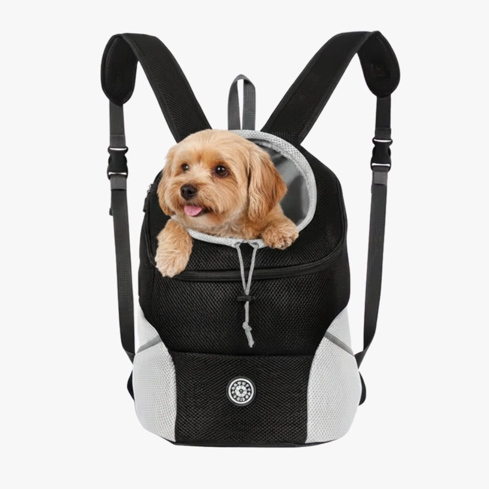 sac-dos-ventral-pour-chien-petit