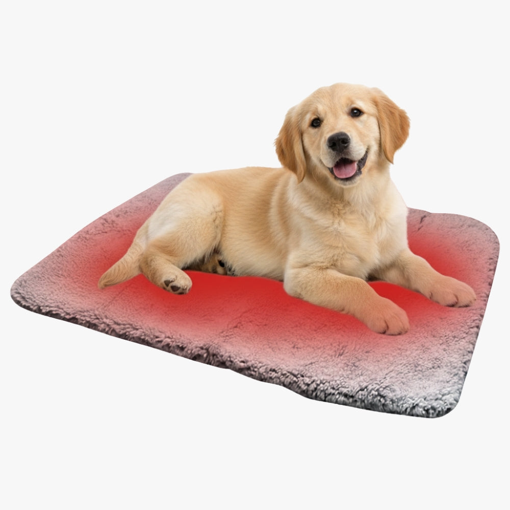 tapis-auto-chauffant-pour-chien-gris
