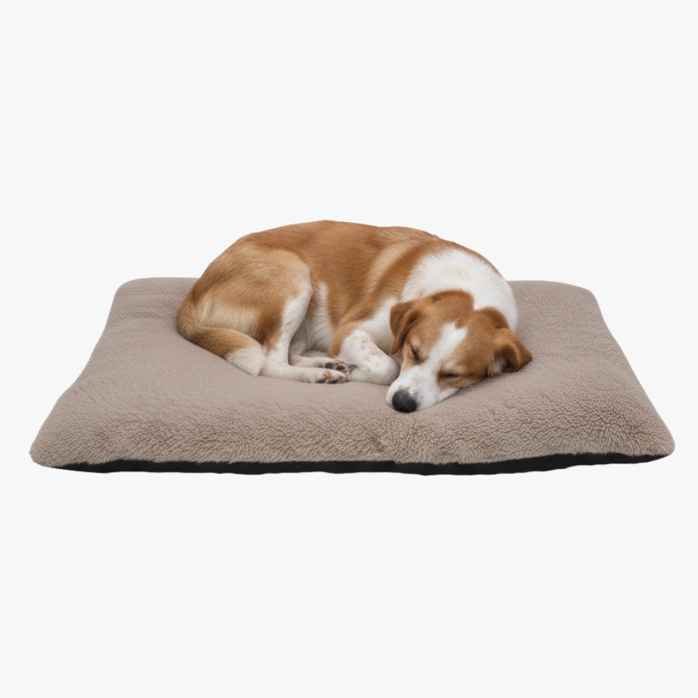 tapis-de-couchage-pour-chien-marron