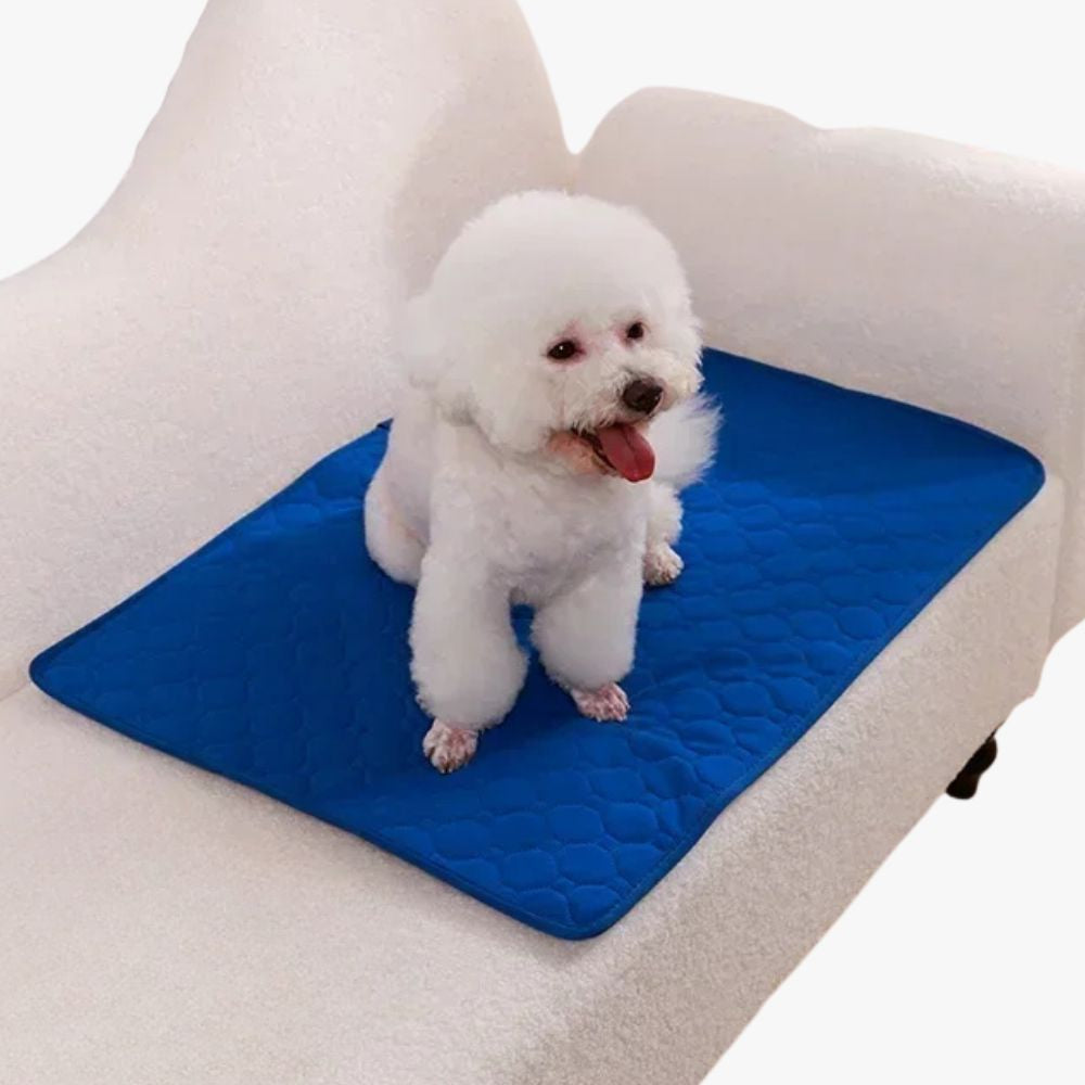 tapis-de-protection-de-canape-pour-chien-bleu