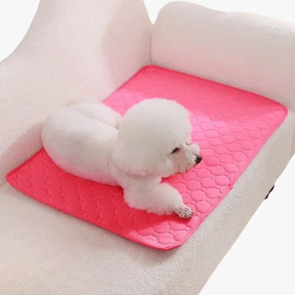 tapis-de-protection-de-canape-pour-chien-fuchsia