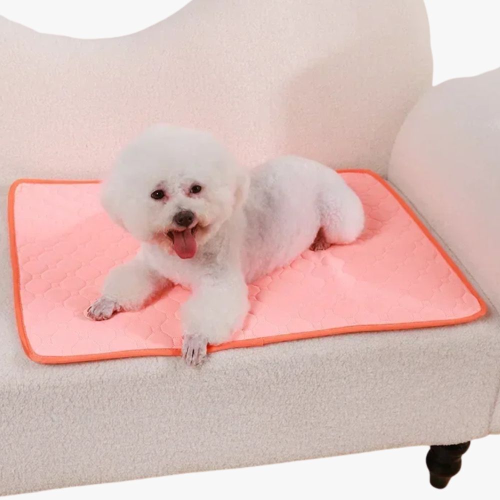 tapis-de-protection-de-canape-pour-chien-rose