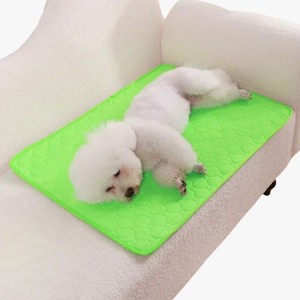 tapis-de-protection-de-canape-pour-chien-vert