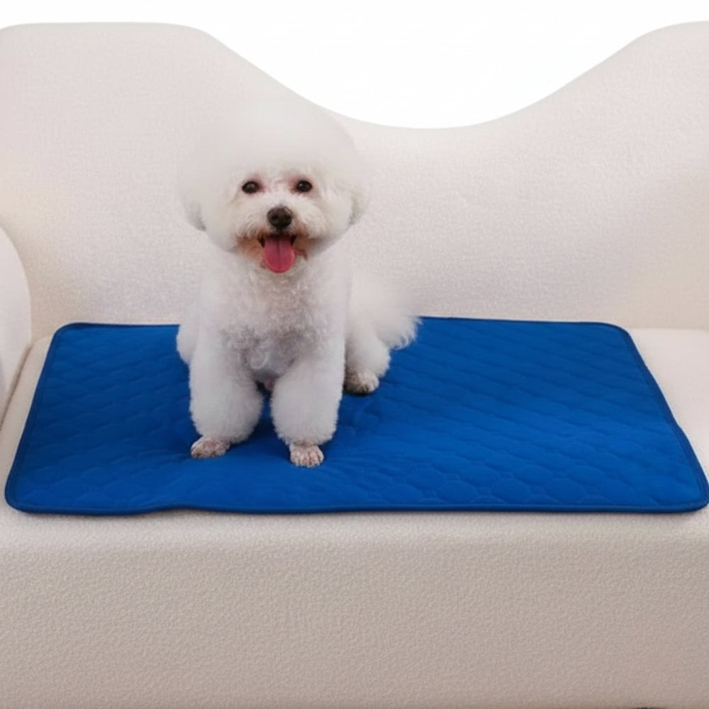 tapis-de-protection-de-canape-pour-chien