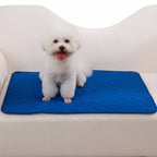 tapis-de-protection-de-canape-pour-chien