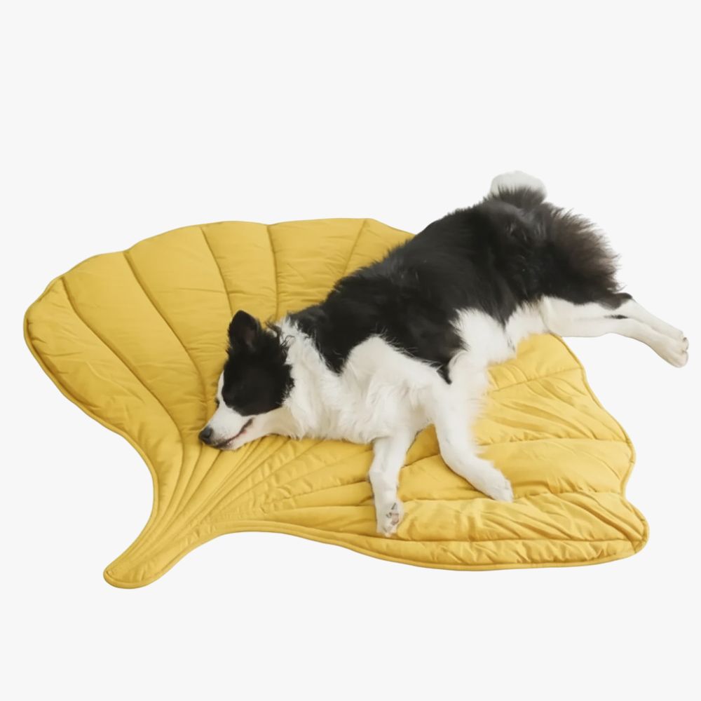 tapis-feuille-pour-chien-jaune-sol