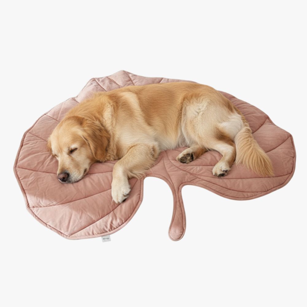 tapis-feuille-pour-chien-terracotta-sol