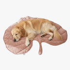 tapis-feuille-pour-chien-terracotta-sol