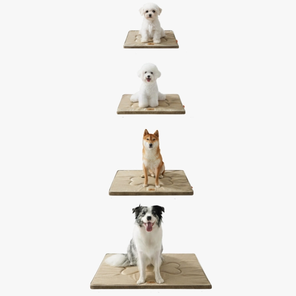 tapis-pour-chien-beige-tailles