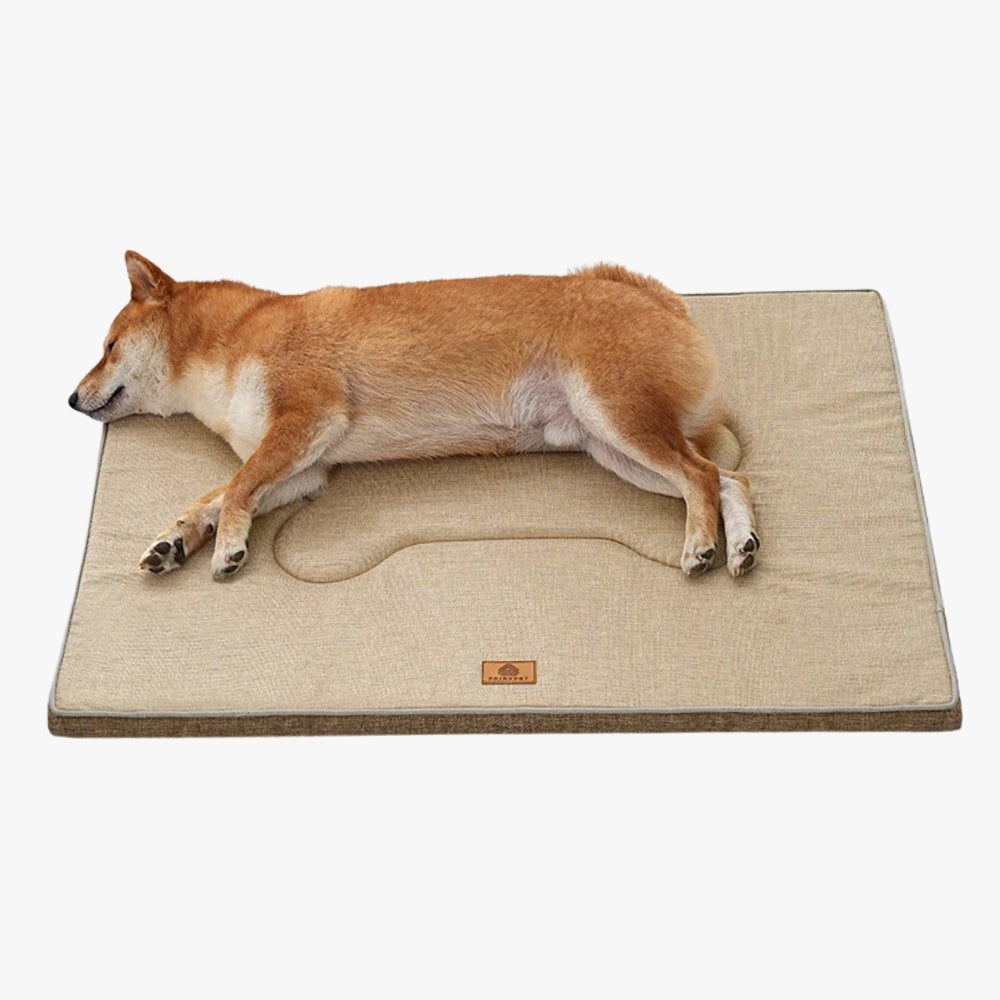 tapis-pour-chien-beige