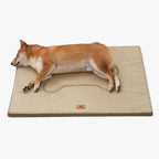 tapis-pour-chien-beige