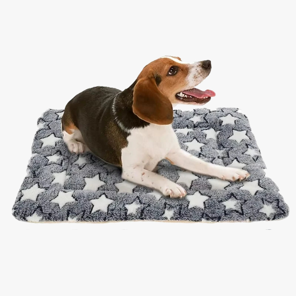 tapis-pour-chien-doux-gris-avec-etoiles