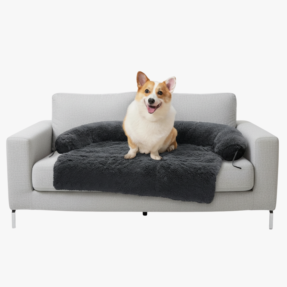 tapis-pour-chien-doux-noir-avec-rebord-canape
