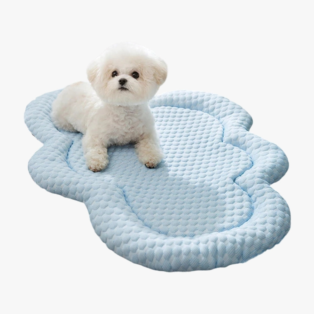 tapis-pour-chien-rafraichissant-nuage-bleu-face