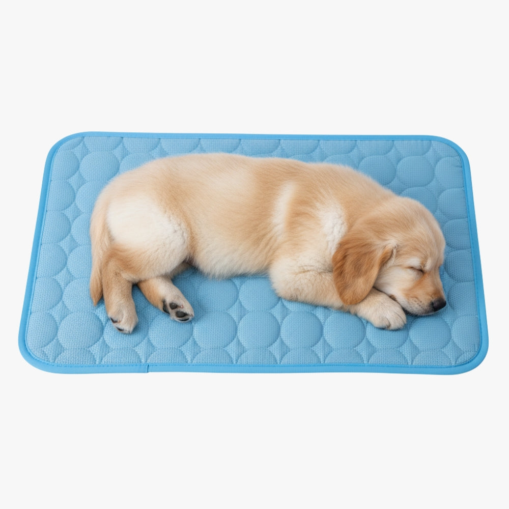 tapis-rafraichissant-pour-chien-bleu
