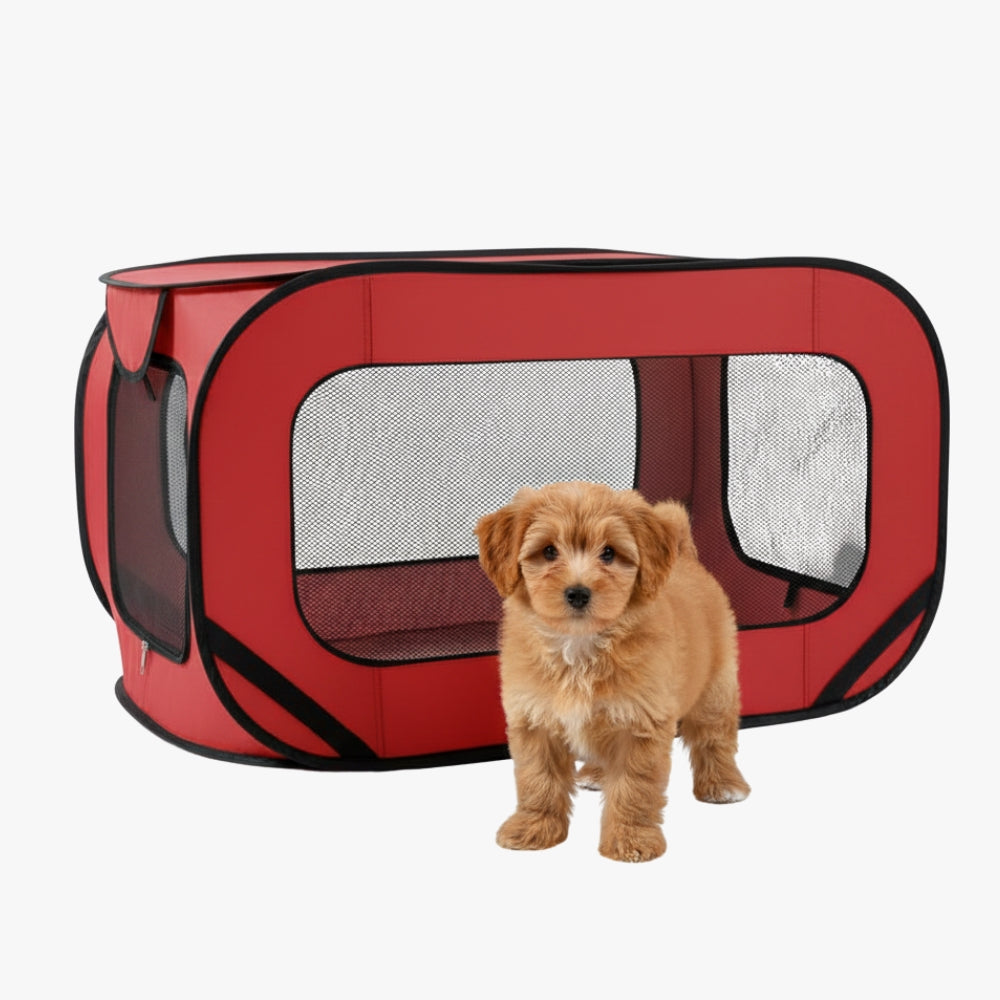 tente-chien-rectangulaire-rouge-avec-chien