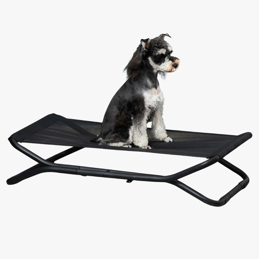 transat-pliable-pour-chien
