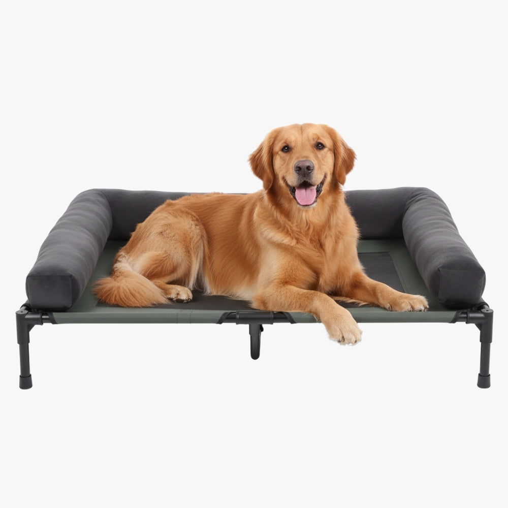 transat-pour-grand-chien-gris-face