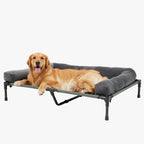 transat-pour-grand-chien-gris
