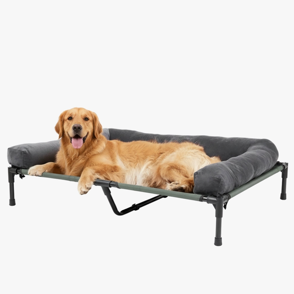 transat-pour-grand-chien-gris